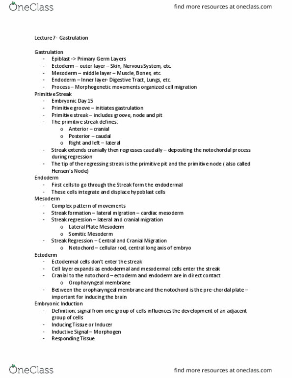 ZOO 3713C Lecture Notes - Lecture 7: Primitive Streak, Primitive Knot, Notochord thumbnail