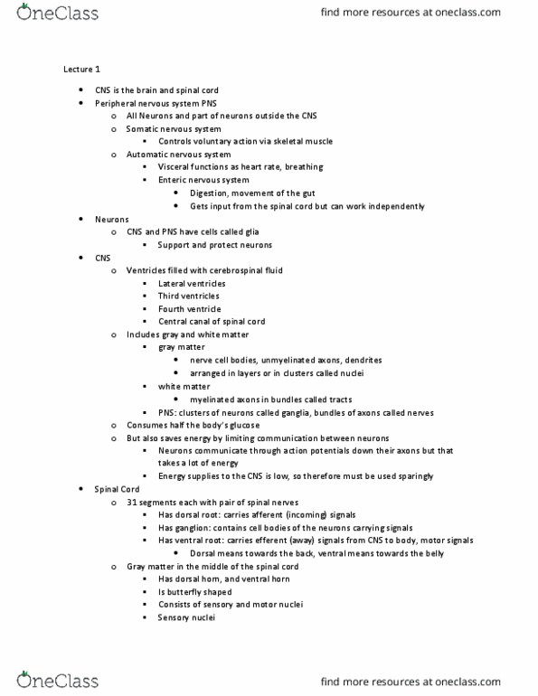 PSL300H1 Lecture Notes - Lecture 1: Posterior Grey Column, Enteric Nervous System, Fourth Ventricle thumbnail