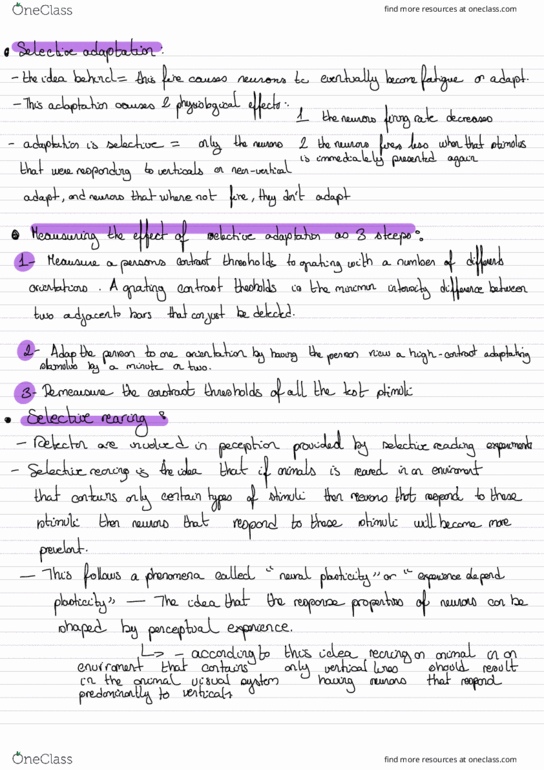 PSYC 363 Lecture Notes - Lecture 3: Retinol thumbnail