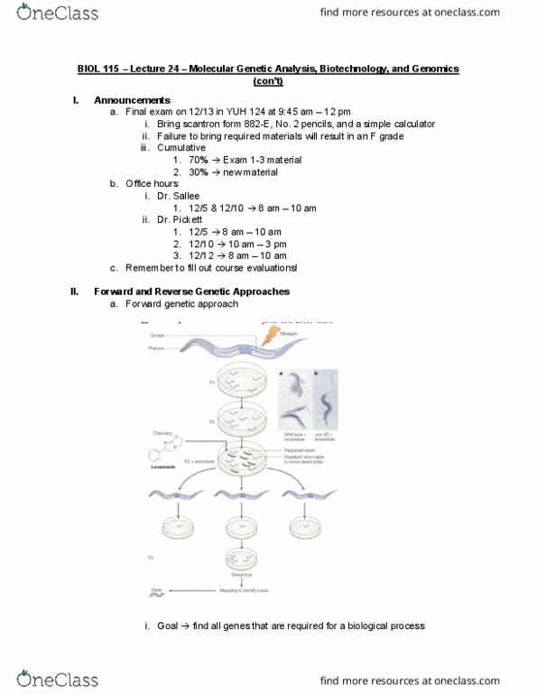 BIOL 115 Lecture Notes - Lecture 24: Molecular Genetics, Scantron Corporation, Endonuclease thumbnail