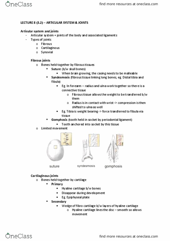 ANAT20006 Lecture Notes - Lecture 8: Hyaline Cartilage, Periodontal Fiber, Synovial Joint thumbnail