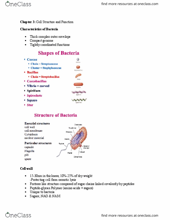 MICR 2420 Lecture Notes - Lecture 3: Cell Envelope, Peptidoglycan, Cell Wall thumbnail