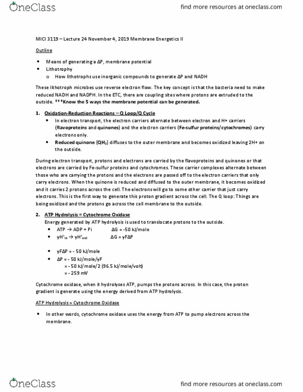 MICI 3119 Lecture Notes - Lecture 24: Cytochrome C Oxidase, Atp Hydrolysis, Electrochemical Gradient thumbnail