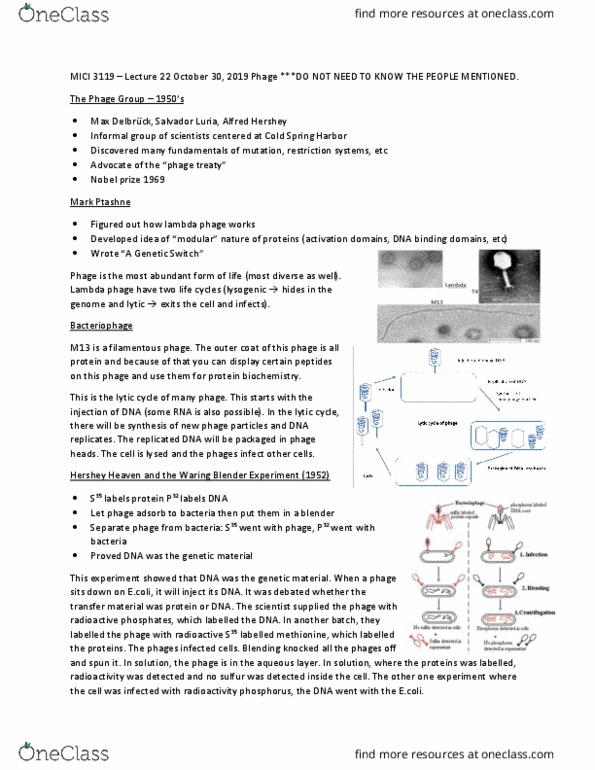MICI 3119 Lecture Notes - Lecture 22: Lambda Phage, Filamentous Bacteriophage, Salvador Luria thumbnail
