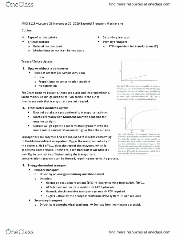 MICI 3119 Lecture Notes - Lecture 28: Enzyme Catalysis, Atp Hydrolysis, Osmotic Shock thumbnail