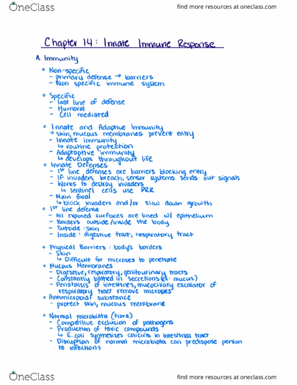 BIOL 275 Lecture Notes - Lecture 11: Adaptive Immune System, Innate Immune System, Peptidoglycan thumbnail