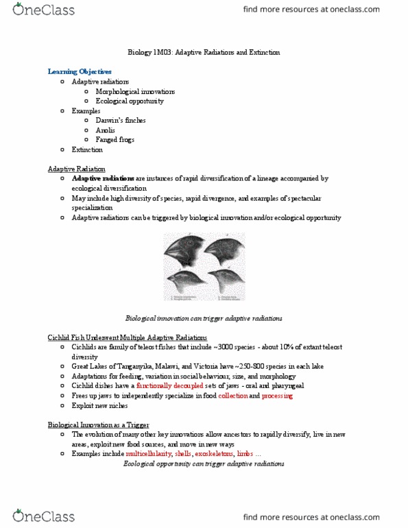 BIOLOGY 1M03 Lecture Notes - Lecture 1: Adaptive Radiation, Cichlid, Teleost thumbnail