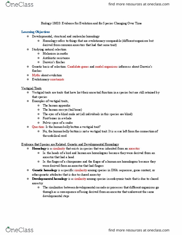 BIOLOGY 1M03 Lecture Notes - Lecture 5: Spalax, Umbilical Cord, Melanism thumbnail