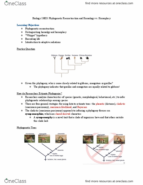 BIOLOGY 1M03 Lecture Notes - Lecture 10: Convergent Evolution, Phenetics, Synapomorphy thumbnail