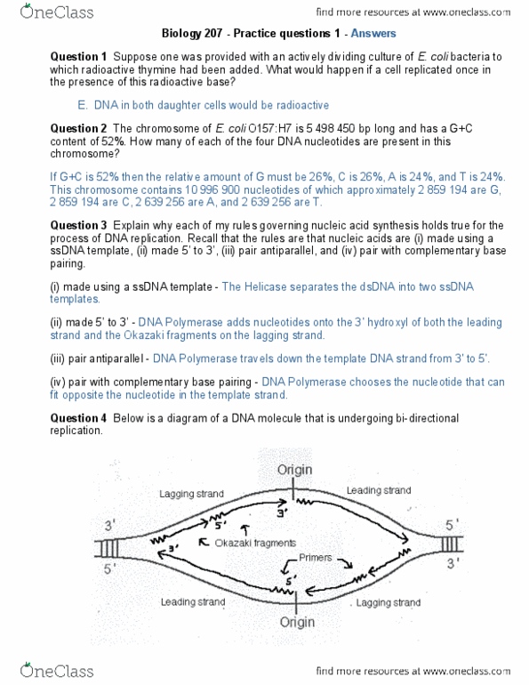 BIOL201 Lecture Notes - Open Reading Frame, Dna Polymerase, Dna Replication thumbnail