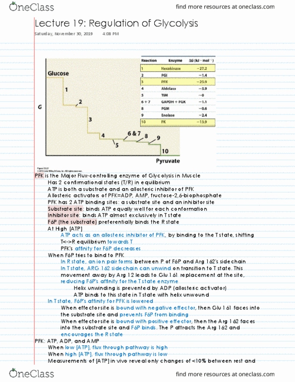 ABI 102 Lecture Notes - Lecture 19: Wkhq-Fm thumbnail