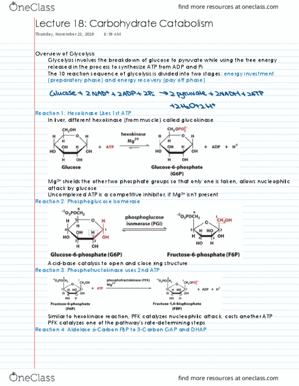 ABI 102 Lecture 18: Carbohydrate Catabolism thumbnail