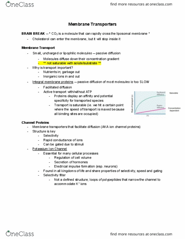 BCH210H1 Lecture Notes - Lecture 15: Facilitated Diffusion, Lipophilicity, Active Transport thumbnail