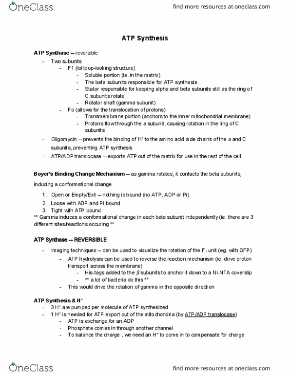BCH210H1 Lecture Notes - Lecture 28: Atp Synthase, Atp Hydrolysis, Oligomycin thumbnail