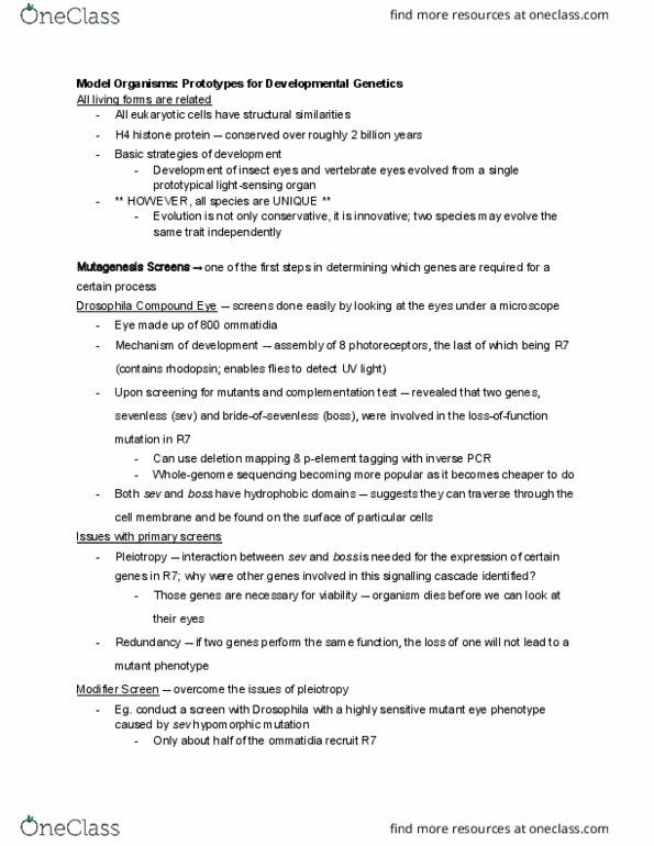 HMB265H1 Chapter Notes - Chapter 20: Pleiotropy, Rhodopsin, Ommatidium thumbnail