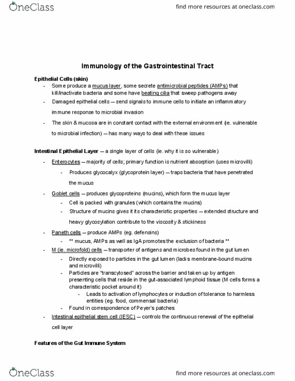 IMM250H1 Lecture Notes - Lecture 5: Antigen-Presenting Cell, Paneth Cell, Epithelium thumbnail