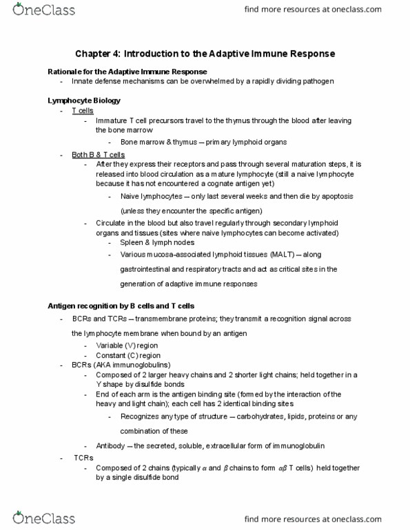 IMM250H1 Chapter Notes - Chapter 2: Immunoglobulin Light Chain, Adaptive Immune System, Disulfide thumbnail