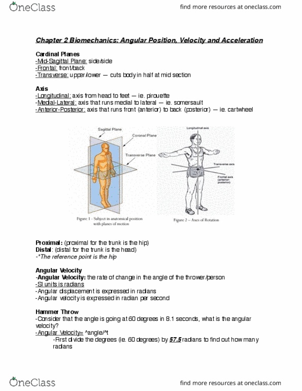 Kinesiology 3341A/B Lecture 3: 3341 Chapter 2 thumbnail