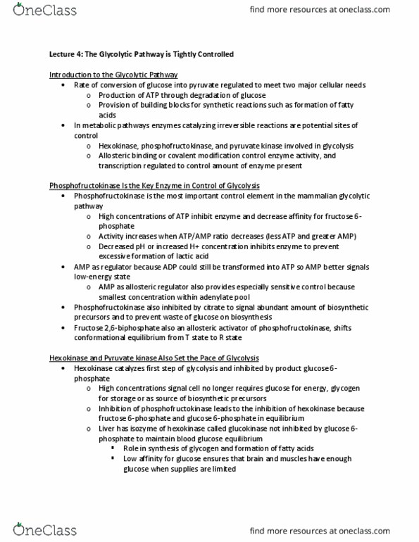 NPB 110 Lecture Notes - Lecture 4: Hexokinase, Blood Sugar, Allosteric Regulation thumbnail