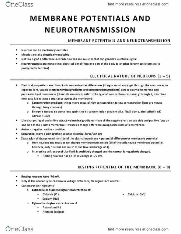 KINESIOL 2Y03 Lecture Notes - Lecture 8: Chemical Synapse, Extracellular Fluid, Neurotransmission thumbnail