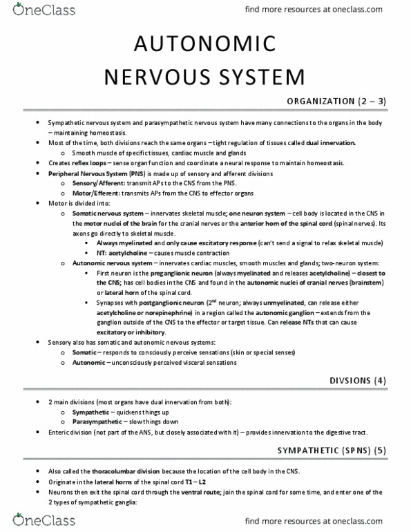 KINESIOL 2Y03 Lecture Notes - Lecture 12: Autonomic Nervous System, Sympathetic Nervous System, Somatic Nervous System thumbnail