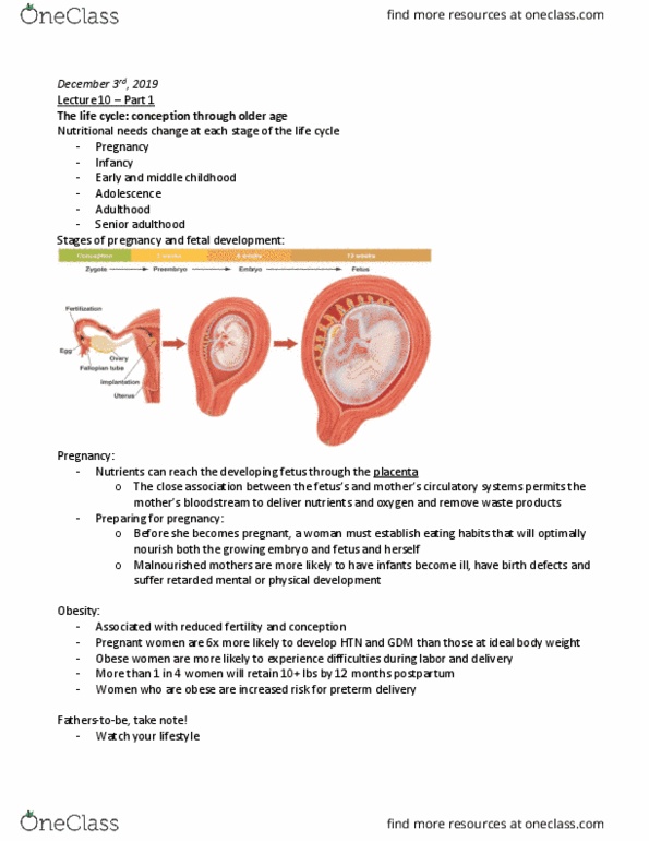 SAR HS 201 Lecture Notes - Lecture 11: Human Body Weight, Childhood Obesity, Fetus thumbnail