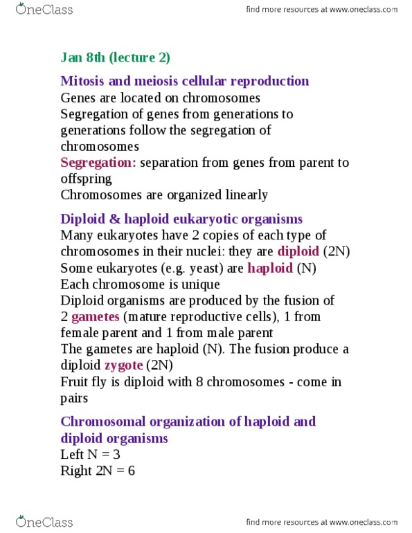 BIOL 2030 Lecture Notes - Spindle Apparatus, Sister Chromatids, Homologous Chromosome thumbnail