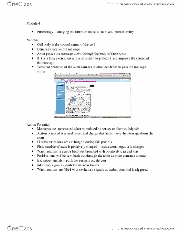 PSYC 1010 Chapter Notes -Hypothalamus thumbnail