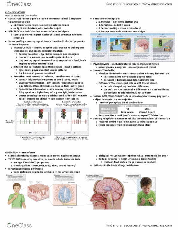 PSY100H1 Chapter Notes -Prefrontal Cortex, Threshold Of Pain, Sensory Neuron thumbnail