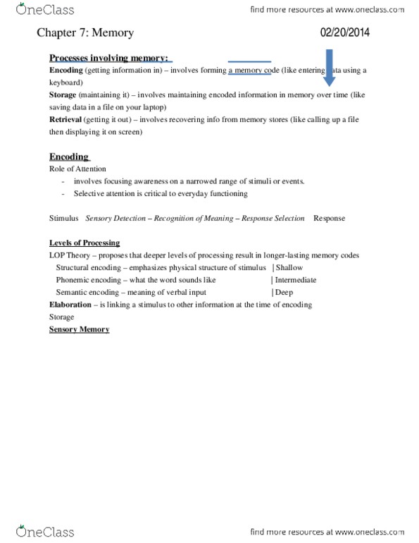 PS102 Chapter Notes - Chapter 7-9: Long-Term Memory, Working Memory, Sketchpad thumbnail