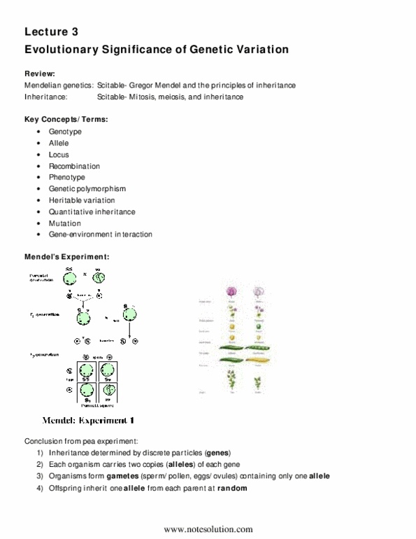 BIO120H1 Lecture Notes - Meiosis, Dna Replication thumbnail