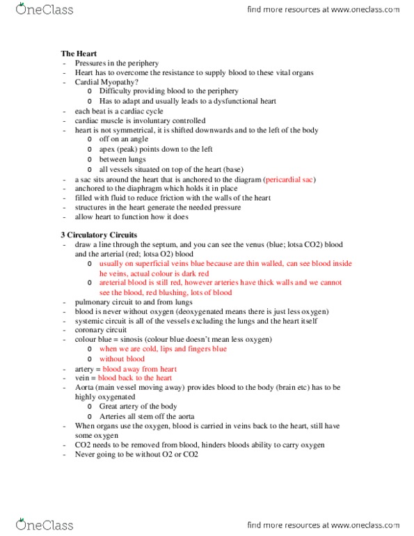 Health Sciences 2300A/B Lecture Notes - Diastole, Capillary, Duodenum thumbnail