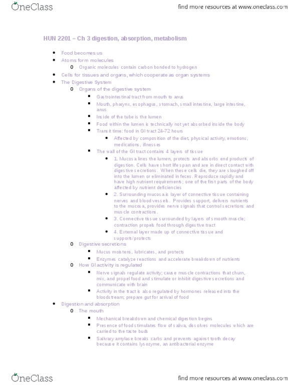 HUN 2201 Lecture Notes - Pancreatic Juice, Intestinal Gland, Gastric Pits thumbnail