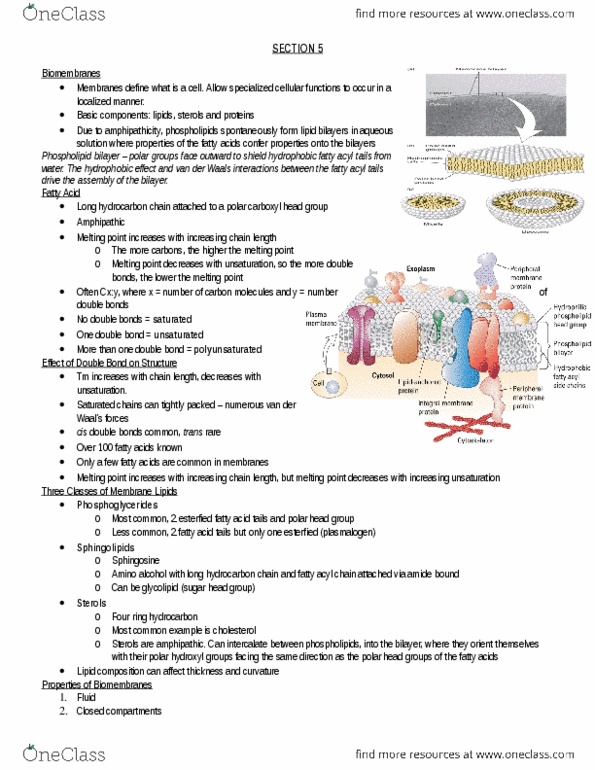 Biology 2382B Lecture Notes - Alkanolamine, Amphiphile, Sphingosine thumbnail