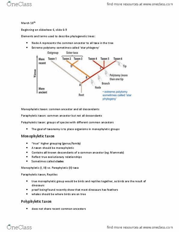 BIOL 103 Lecture Notes - Dna Barcoding, Monophyly, Paraphyly thumbnail
