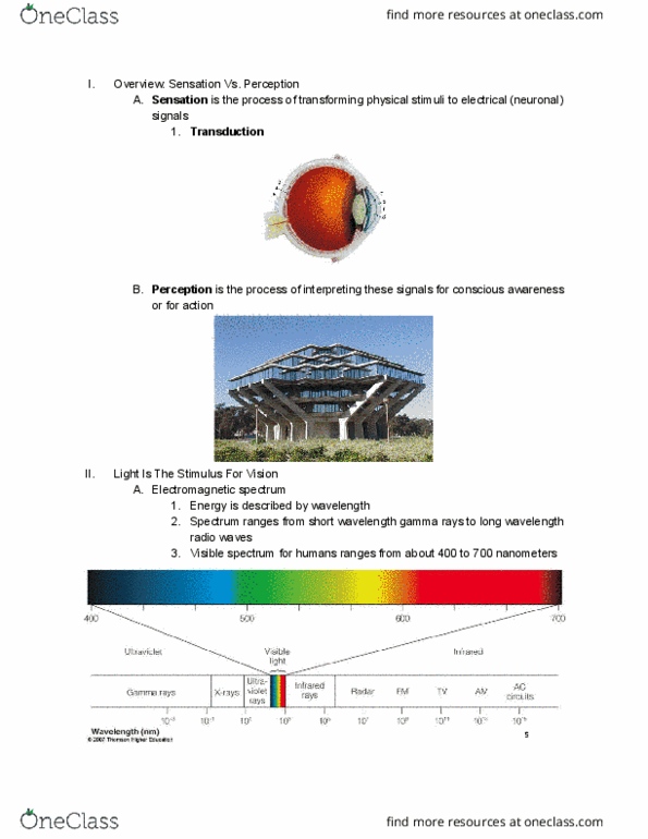 PSYC 102 Lecture Notes - Lecture 16: Electromagnetic Spectrum, Visible Spectrum, Lamellar Corpuscle thumbnail