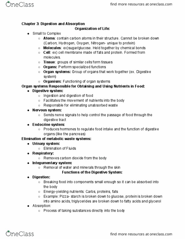 NUSC 1165 Lecture Notes - Lecture 8: Integumentary System, Metabolic Waste, Urinary System thumbnail