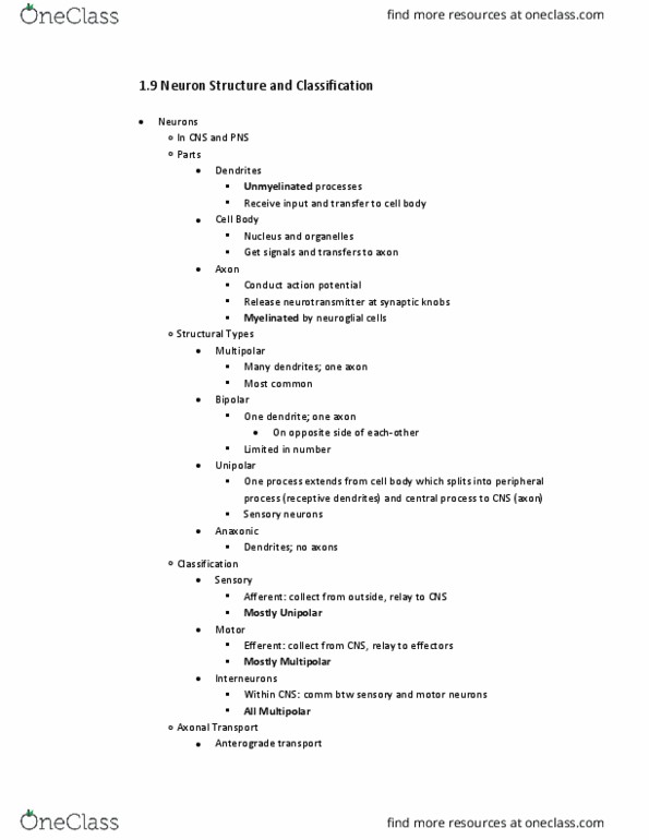 BIO 240 Lecture Notes - Lecture 9: Neuroglia, Myelin, Microtubule thumbnail