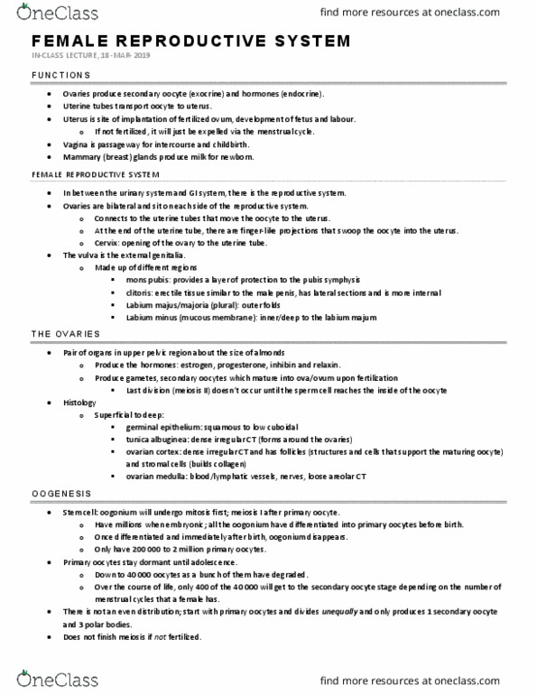 KINESIOL 2YY3 Lecture Notes - Lecture 10: Oocyte, Fallopian Tube, Oogonium thumbnail