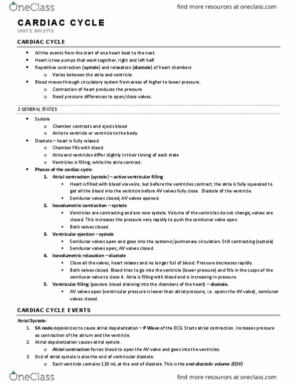 KINESIOL 2YY3 Lecture Notes - Lecture 3: Heart Valve, Systolic Geometry, Sinoatrial Node thumbnail