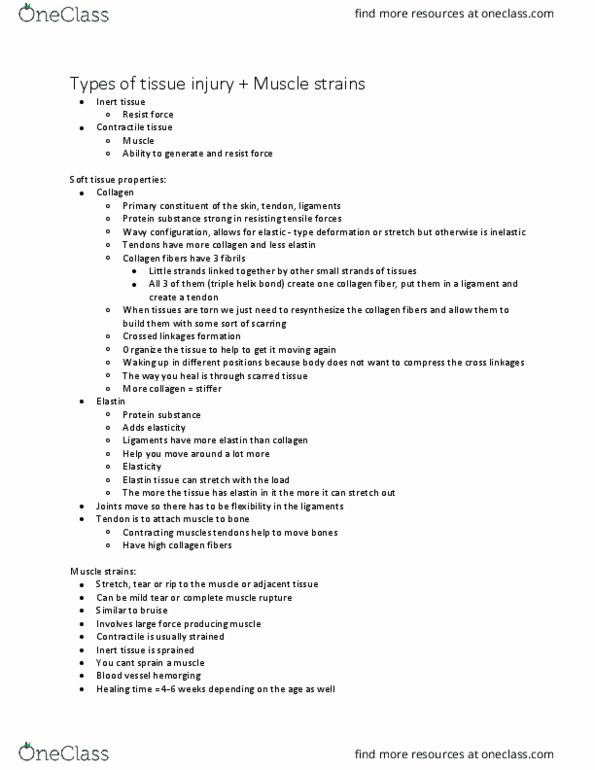 KINE 2490 Lecture Notes - Lecture 9: Myocyte, Elastin, Soft Tissue thumbnail