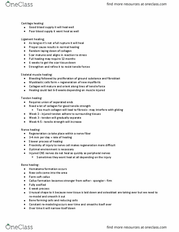 KINE 2490 Lecture Notes - Lecture 10: Ultimate Tensile Strength, Bone Healing, Axon thumbnail