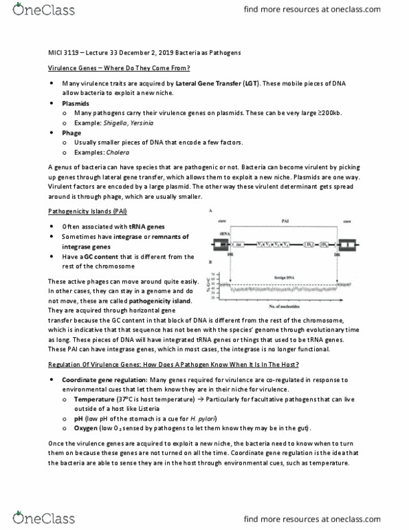 MICI 3119 Lecture Notes - Lecture 33: Pathogenicity Island, Integrase, Gc-Content thumbnail