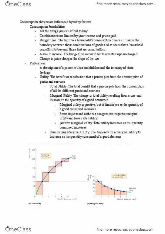 ECON 1000 Lecture 8: Microeconomics - Chapter 8 thumbnail