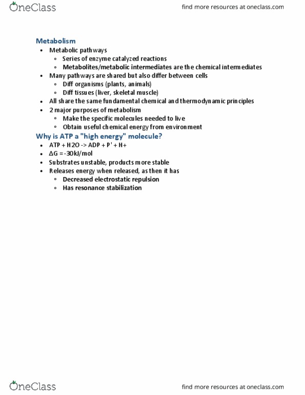 BIOCH200 Lecture Notes - Lecture 8: Skeletal Muscle, Anabolism, Nicotinamide Adenine Dinucleotide thumbnail