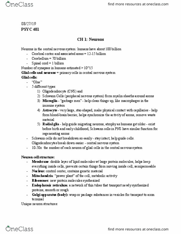 PSYC 401 Lecture Notes - Lecture 1: Schwann Cell, Peripheral Nervous System, Endoplasmic Reticulum thumbnail