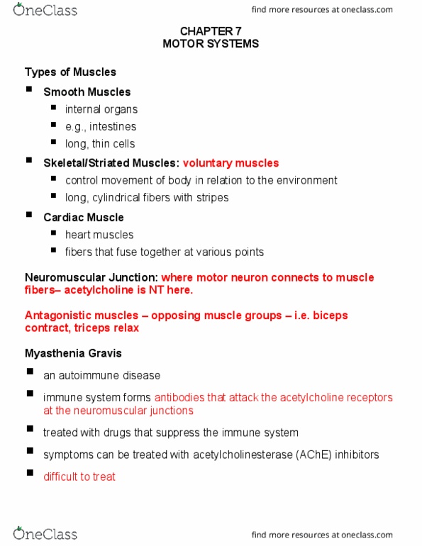 PSYC 401 Lecture Notes - Lecture 8: Myasthenia Gravis, Motor System, Motor Neuron thumbnail