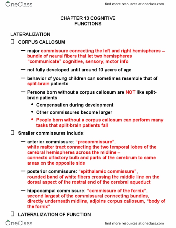 PSYC 401 Lecture Notes - Lecture 13: Olfactory Bulb, Epithalamium, Commissure thumbnail