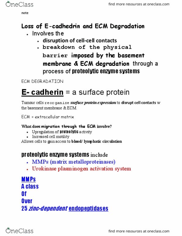 BMED 380 Chapter Notes - Chapter 4-2.2.1: Urokinase, Endopeptidase, Cadherin thumbnail
