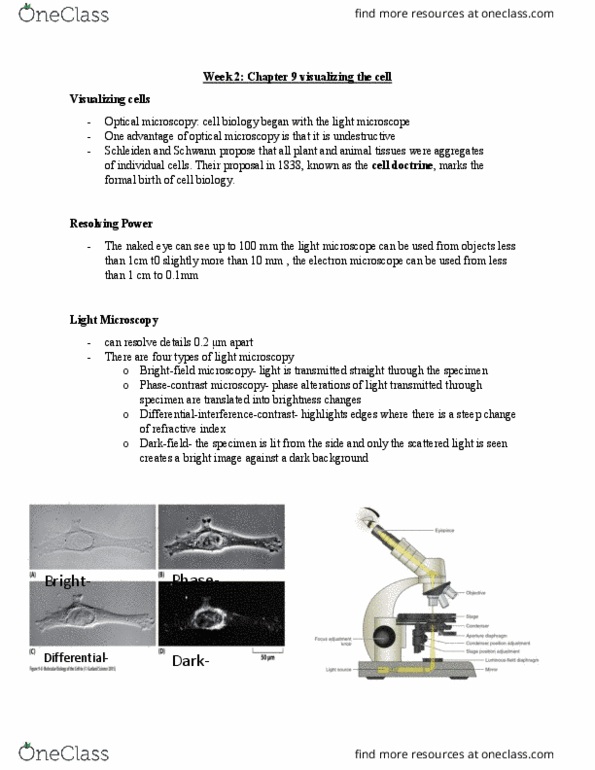 BLG 311 Lecture Notes - Lecture 2: Phase-Contrast Microscopy, Optical Microscope, Electron Microscope thumbnail